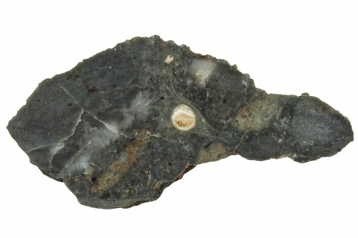 NWA Lunar Meteorite ( g) Slice #307459